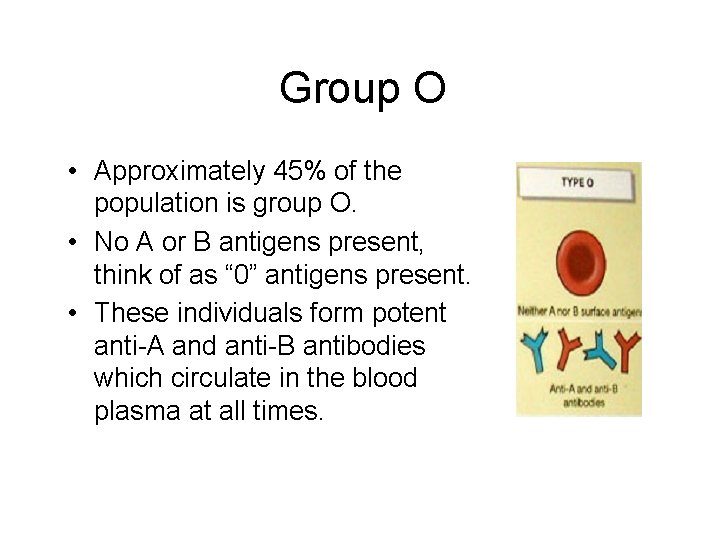 Group O • Approximately 45% of the population is group O. • No A