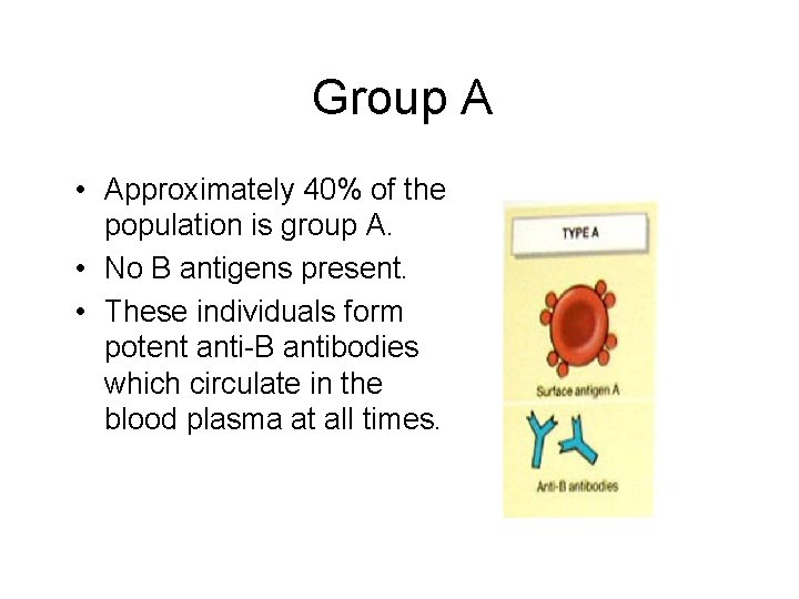 Group A • Approximately 40% of the population is group A. • No B
