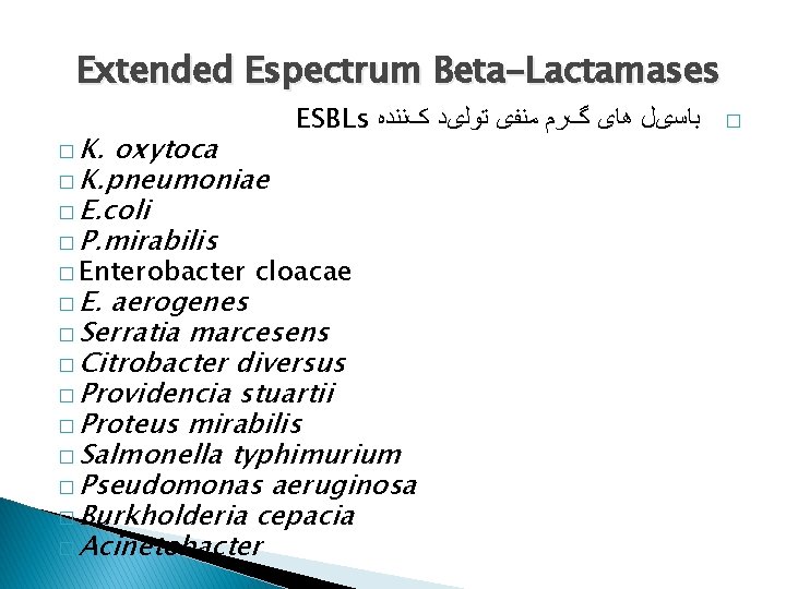 Extended Espectrum Beta-Lactamases � K. oxytoca � K. pneumoniae � E. coli � P.