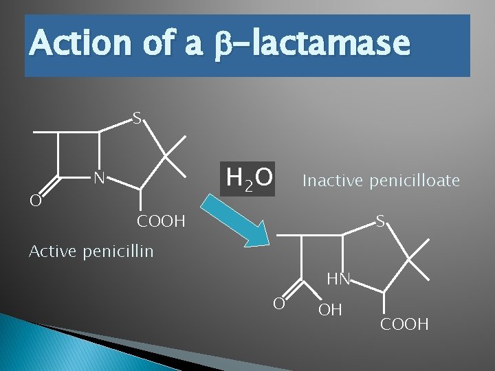 Action of a b-lactamase S O H 2 O N Inactive penicilloate COOH S