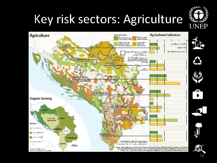 Key risk sectors: Agriculture 13 