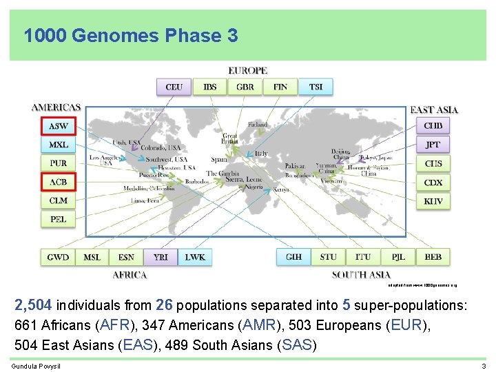 1000 Genomes Phase 3 adapted from www. 1000 genomes. org 2, 504 individuals from