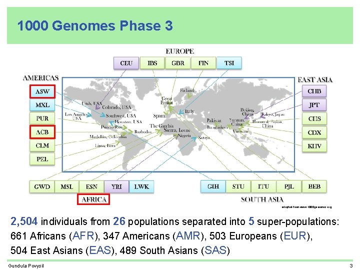 1000 Genomes Phase 3 adapted from www. 1000 genomes. org 2, 504 individuals from