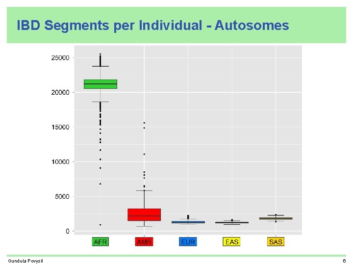 IBD Segments per Individual - Autosomes Gundula Povysil 6 