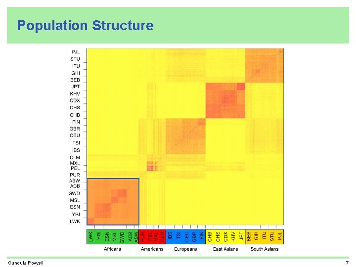 Population Structure Gundula Povysil 7 
