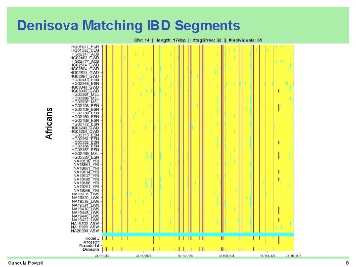 Africans Denisova Matching IBD Segments Gundula Povysil 8 