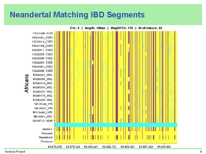 Africans Neandertal Matching IBD Segments Gundula Povysil 9 