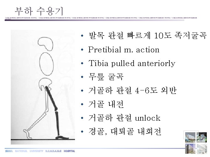 부하 수용기 SEOUL NATIONAL UNIVERSITY BUNDANG HOSPITAL ◦ SEOUL NATIONAL UNIVERSITY BUNDANG HOSPITAL ◦