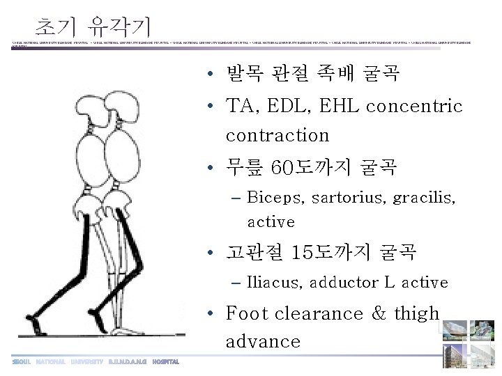 초기 유각기 SEOUL NATIONAL UNIVERSITY BUNDANG HOSPITAL ◦ SEOUL NATIONAL UNIVERSITY BUNDANG HOSPITAL ◦