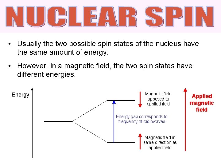  • Usually the two possible spin states of the nucleus have the same