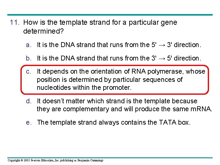11. How is the template strand for a particular gene determined? a. It is