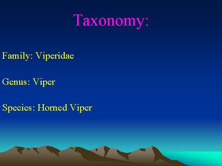 Taxonomy: Family: Viperidae Genus: Viper Species: Horned Viper 