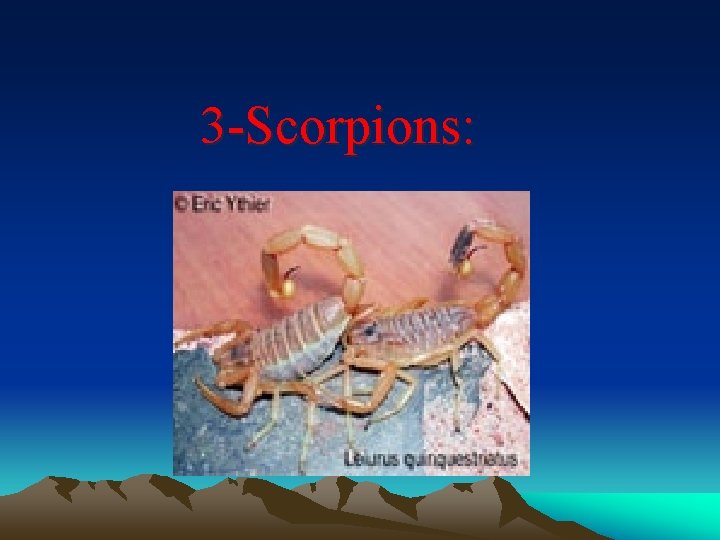 3 -Scorpions: 