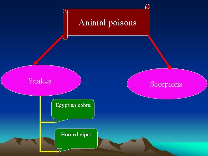 Animal poisons Snakes Scorpions Egyptian cobra Horned viper 