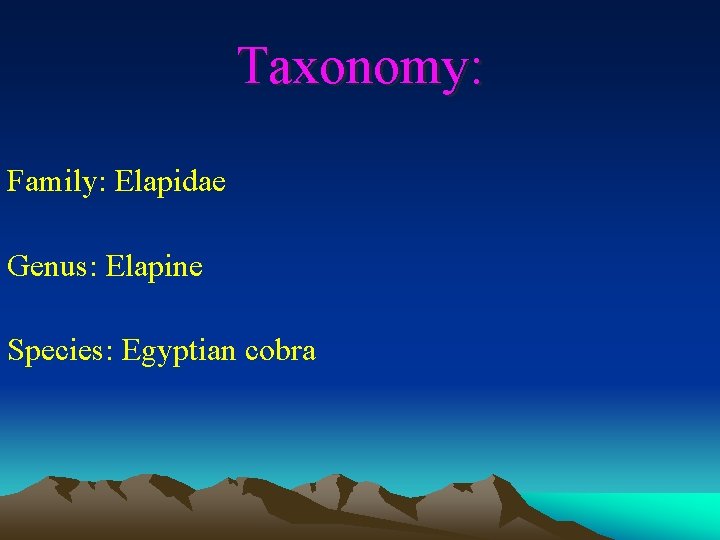 Taxonomy: Family: Elapidae Genus: Elapine Species: Egyptian cobra 