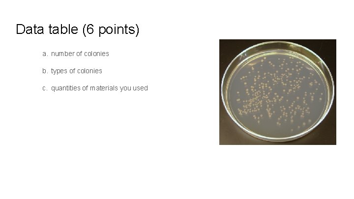 Data table (6 points) a. number of colonies b. types of colonies c. quantities Data table (6 points) a. number of colonies b. types of colonies c. quantities