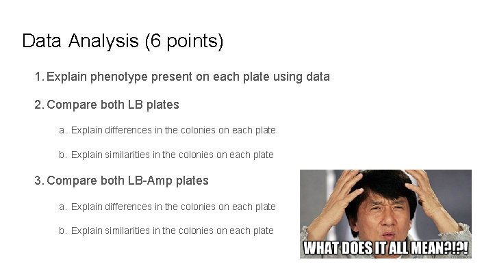Data Analysis (6 points) 1. Explain phenotype present on each plate using data 2. Data Analysis (6 points) 1. Explain phenotype present on each plate using data 2.