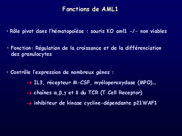 Fonctions de AML 1 • Rôle pivot dans l’hématopoïèse : souris KO aml 1