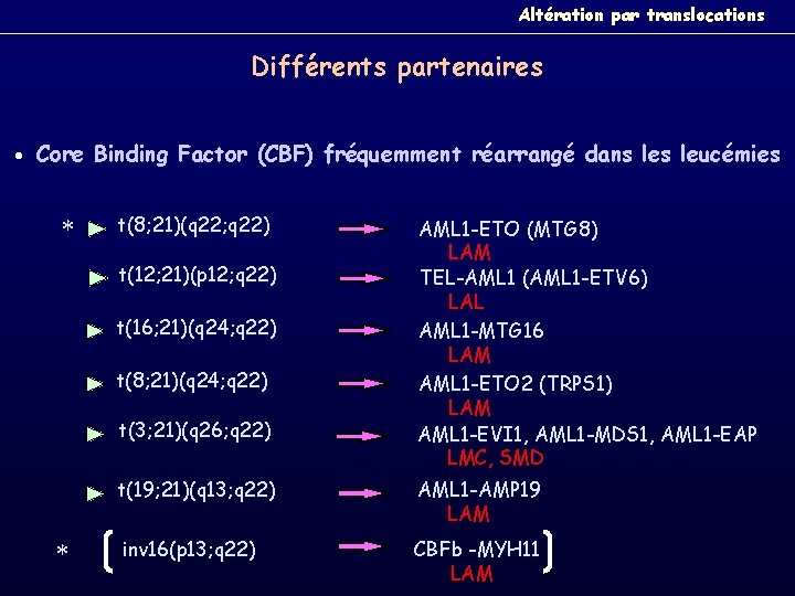 Altération par translocations Différents partenaires Core Binding Factor (CBF) fréquemment réarrangé dans leucémies *
