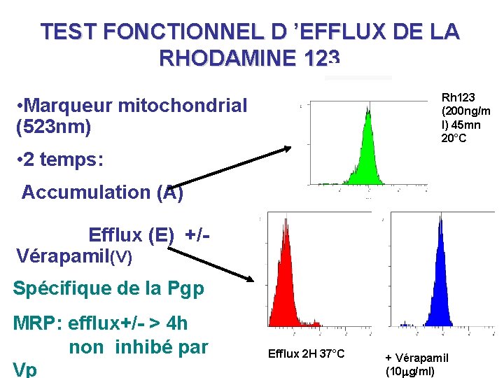 TEST FONCTIONNEL D ’EFFLUX DE LA RHODAMINE 123 Rh 123 (200 ng/m l) 45