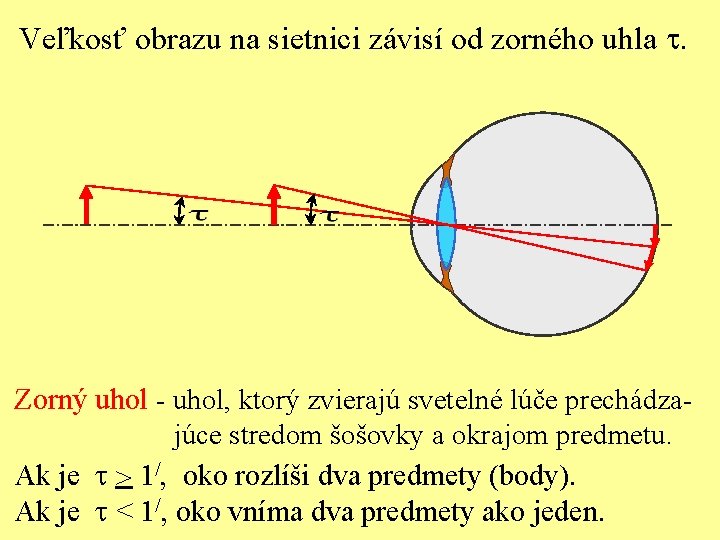 Veľkosť obrazu na sietnici závisí od zorného uhla t. Zorný uhol - uhol, ktorý