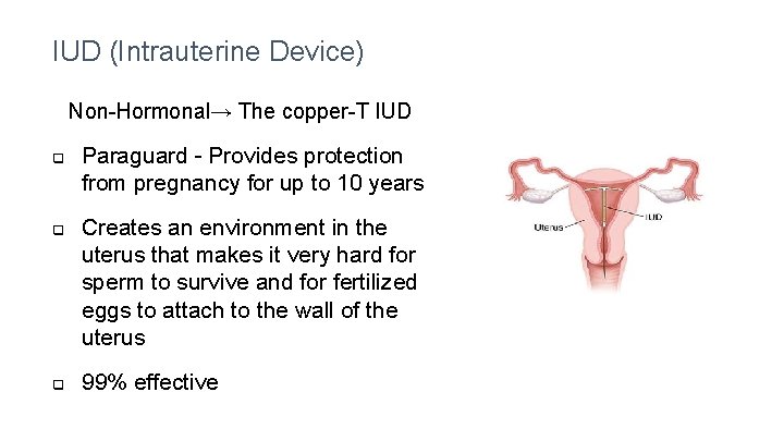 IUD (Intrauterine Device) Non-Hormonal→ The copper-T IUD q q q Paraguard - Provides protection