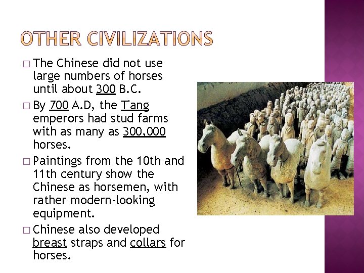 � The Chinese did not use large numbers of horses until about 300 B.