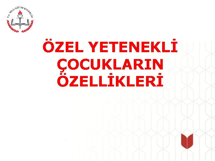 ÖZEL YETENEKLİ ÇOCUKLARIN ÖZELLİKLERİ 