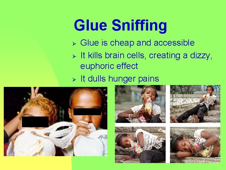 Glue Sniffing Ø Ø Ø Glue is cheap and accessible It kills brain cells,