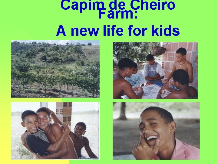 Capim de Cheiro Farm: A new life for kids 