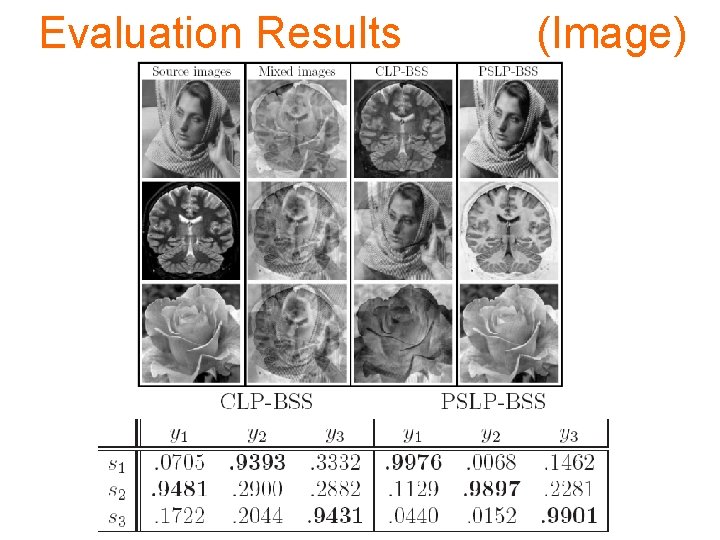 Evaluation Results (Image) 