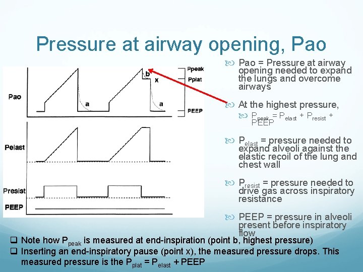 Pressure at airway opening, Pao = Pressure at airway opening needed to expand the