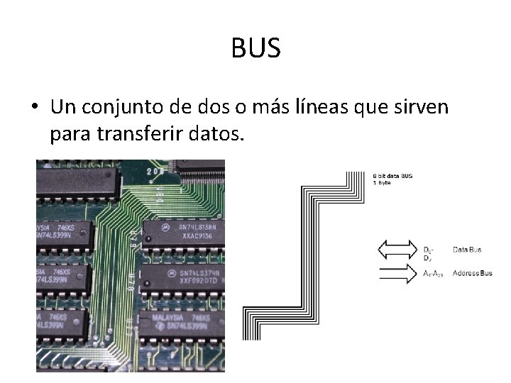 BUS • Un conjunto de dos o más líneas que sirven para transferir datos.