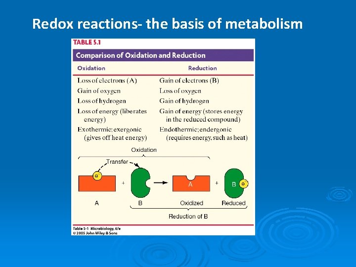 Redox reactions- the basis of metabolism 