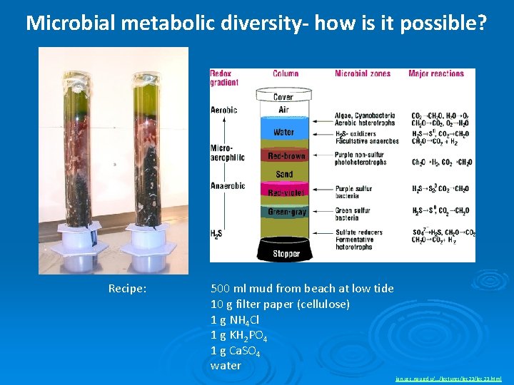 Microbial metabolic diversity- how is it possible? Recipe: 500 ml mud from beach at