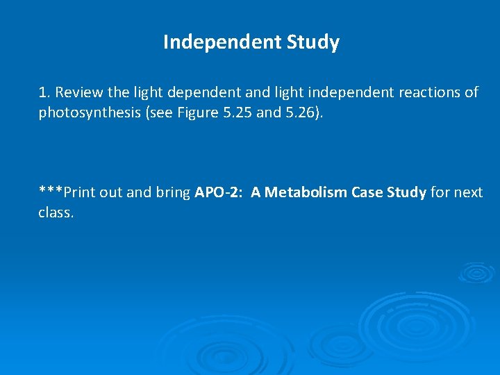 Independent Study 1. Review the light dependent and light independent reactions of photosynthesis (see