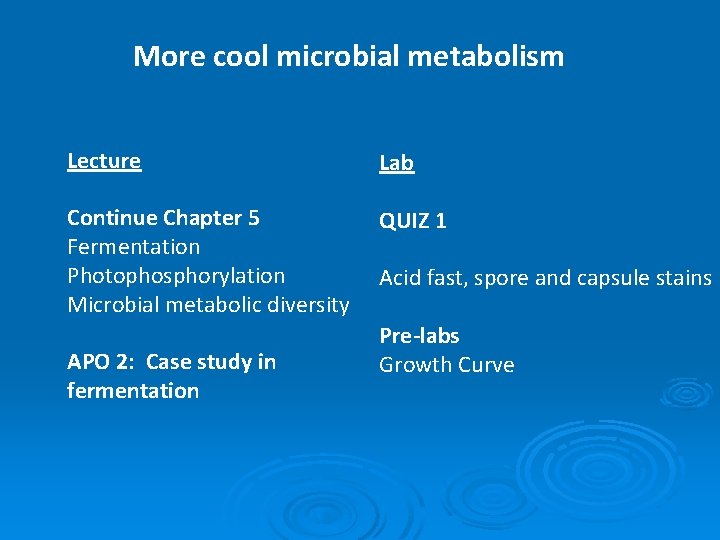 More cool microbial metabolism Lecture Lab Continue Chapter 5 Fermentation Photophosphorylation Microbial metabolic diversity