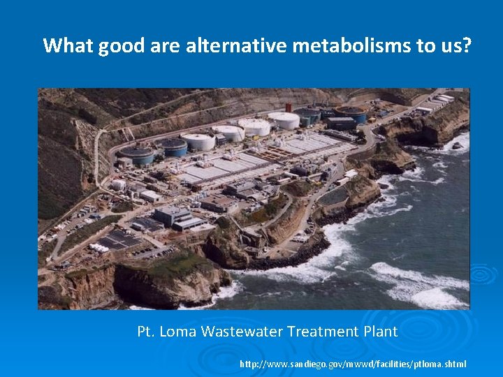 What good are alternative metabolisms to us? Pt. Loma Wastewater Treatment Plant http: //www.