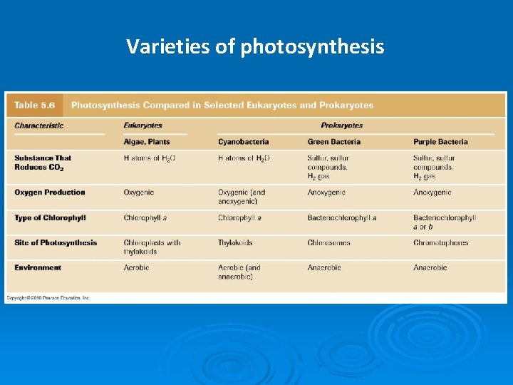 Varieties of photosynthesis 