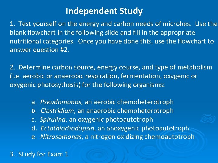 Independent Study 1. Test yourself on the energy and carbon needs of microbes. Use