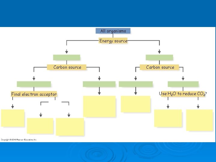 All organisms Energy source Carbon source Final electron acceptor Carbon source Use H 2