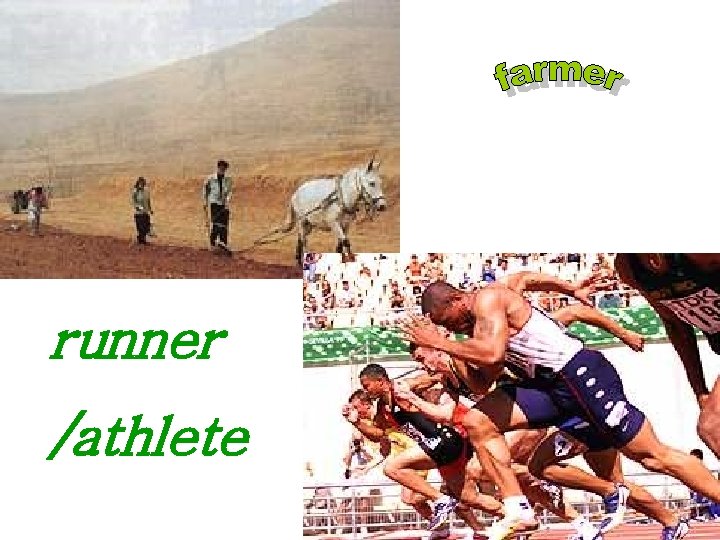 runner /athlete 