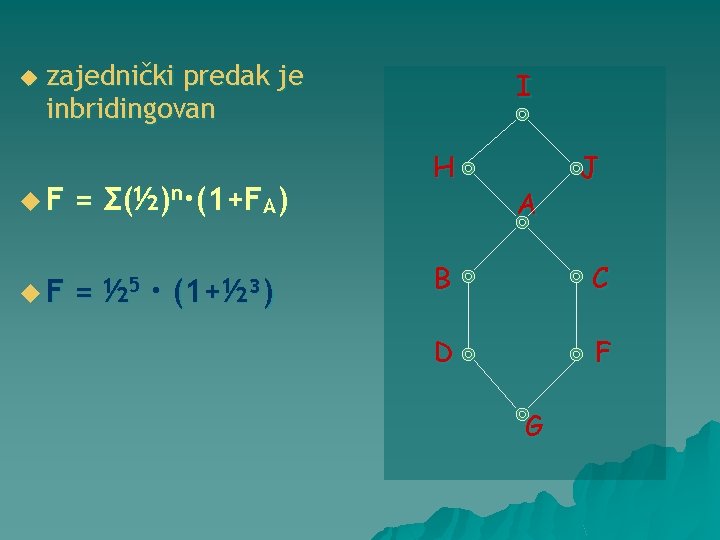 u zajednički predak je inbridingovan u. F = Σ(½)n·(1+FA) u. F = ½ 5