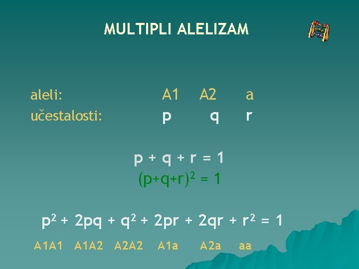 MULTIPLI ALELIZAM A 1 p aleli: učestalosti: A 2 q a r p+q+r=1 (p+q+r)2