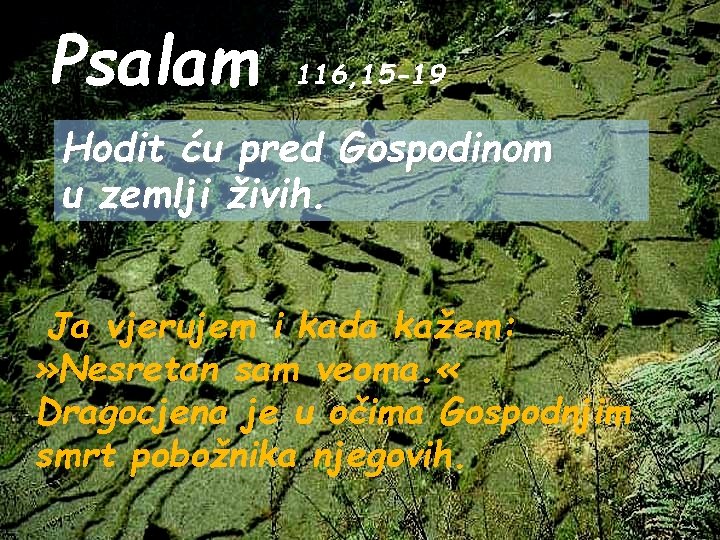 Psalam 116, 15 -19 Hodit ću pred Gospodinom u zemlji živih. Ja vjerujem i Psalam 116, 15 -19 Hodit ću pred Gospodinom u zemlji živih. Ja vjerujem i