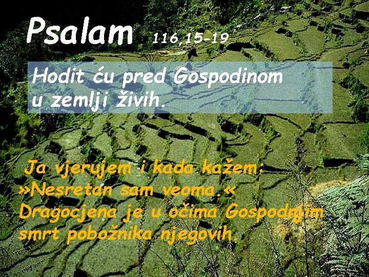 Psalam 116, 15 -19 Hodit ću pred Gospodinom u zemlji živih. Ja vjerujem i