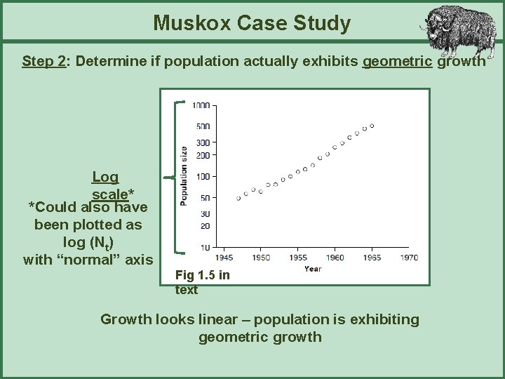 Muskox Case Study Step 2: Determine if population actually exhibits geometric growth Log scale*