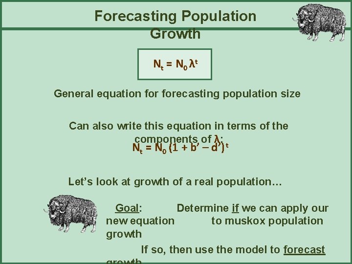 Forecasting Population Growth N t = N 0 λt General equation forecasting population size