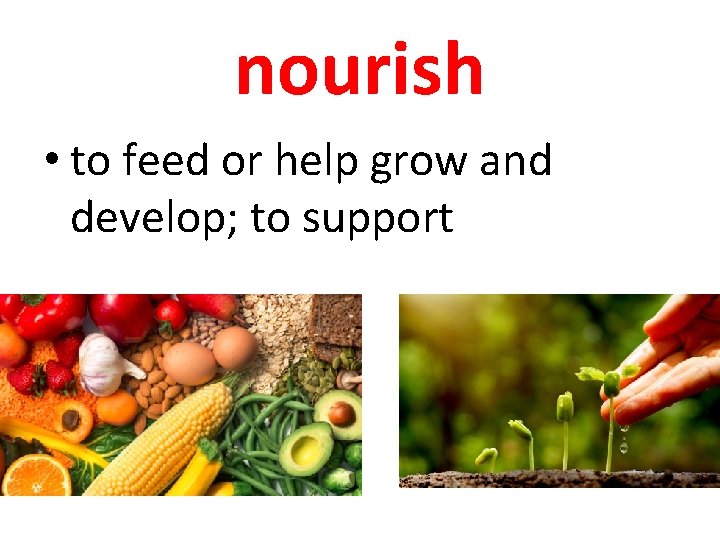 nourish • to feed or help grow and develop; to support 