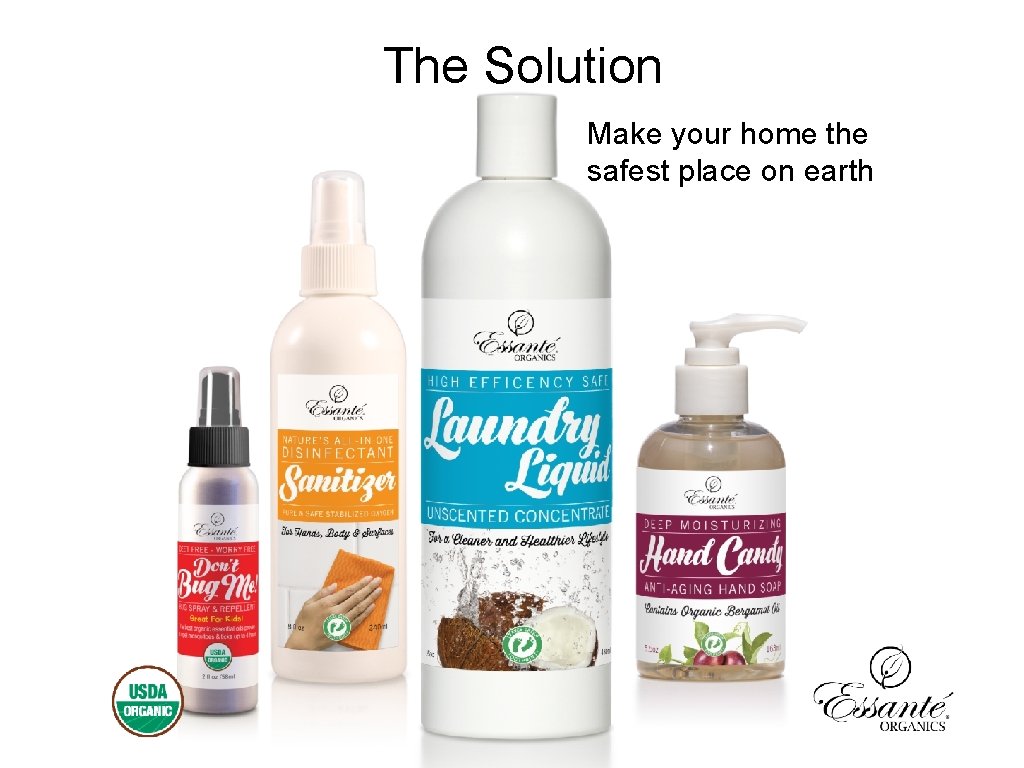 The Solution Make your home the safest place on earth 